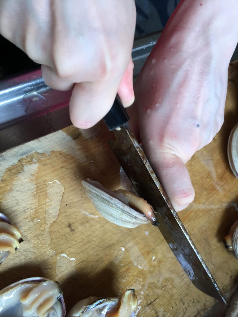 大あさり　さばき方