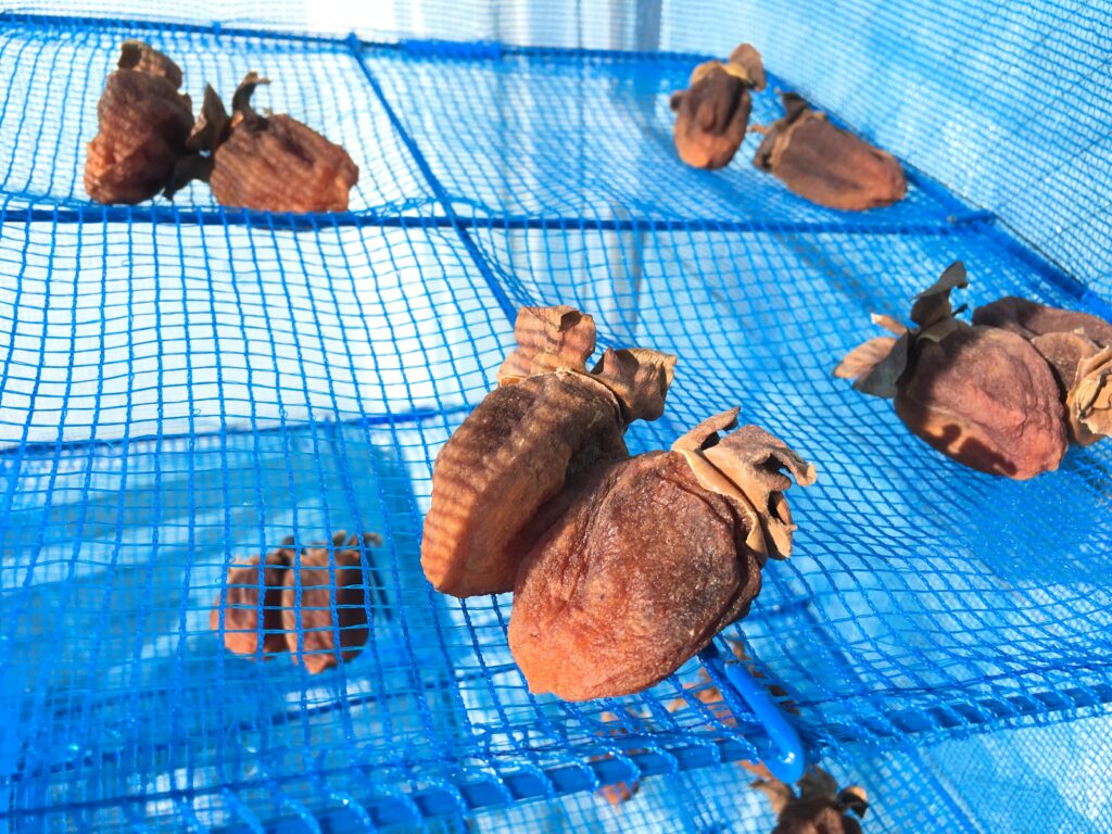 干し柿　10日後