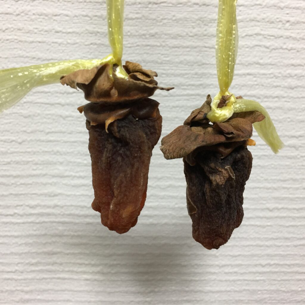 干し柿　3週間後