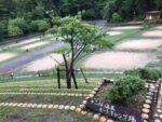 滋賀の十二坊温泉キャンプ場へ1歳児を連れて雨のファミキャンしてきました